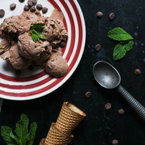 Chocolate Chevre Ice Cream