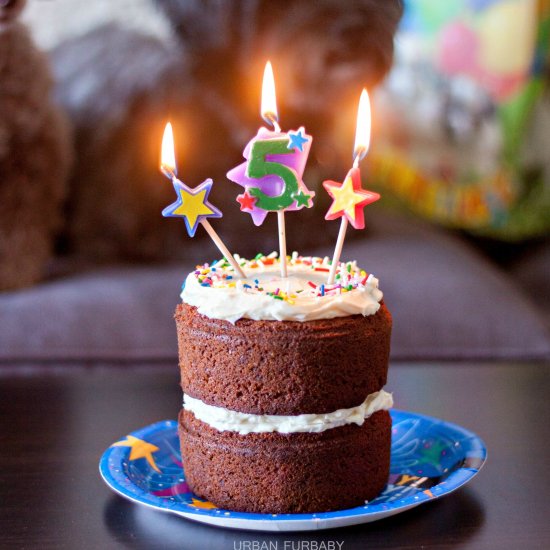 Dog Safe Birthday Carrot Cake