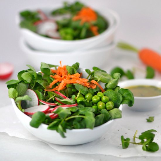 Watercress Salad with Fresh Herbs