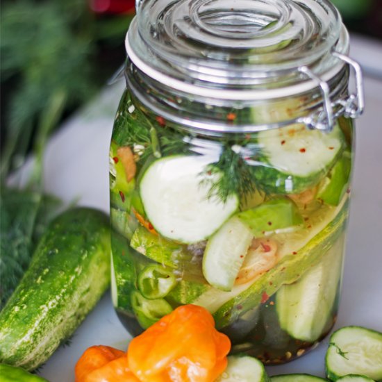 Homemade Spicy Habanero Pickles