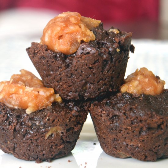 Cocoa peanut butter protein bites