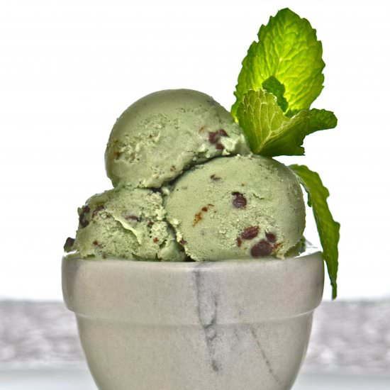 Mint Chocolate Chip Ice Cream