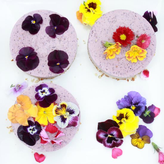 Raw Berry Mini Cheesecakes