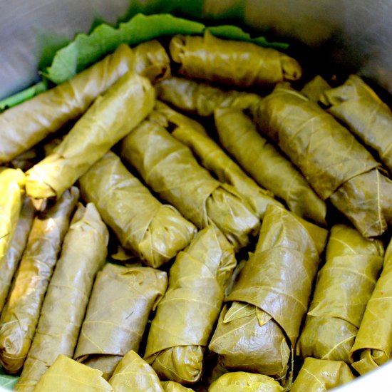 Grape Leaves Stuffed with Rice