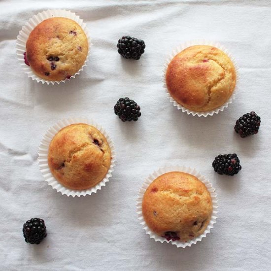 Blackberry Fairy Cakes