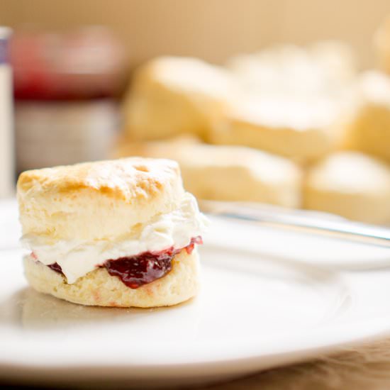 Soft Buttery Scones