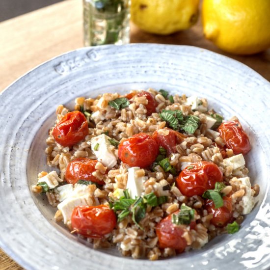 Farro Salad with Roasted Tomatoes