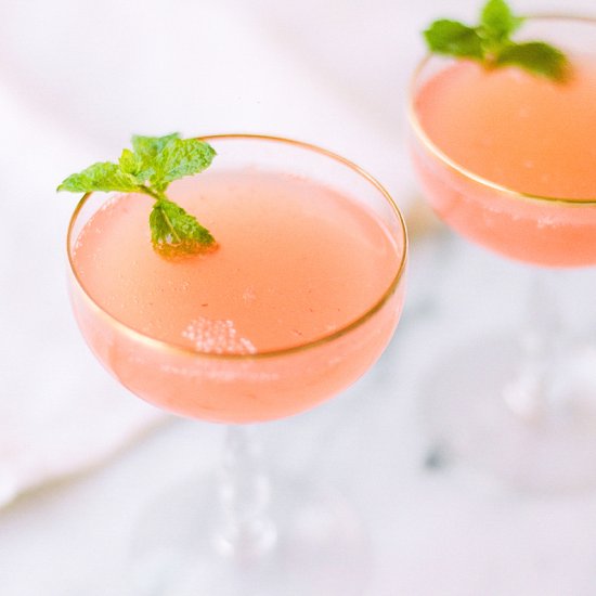 Watermelon Champagne