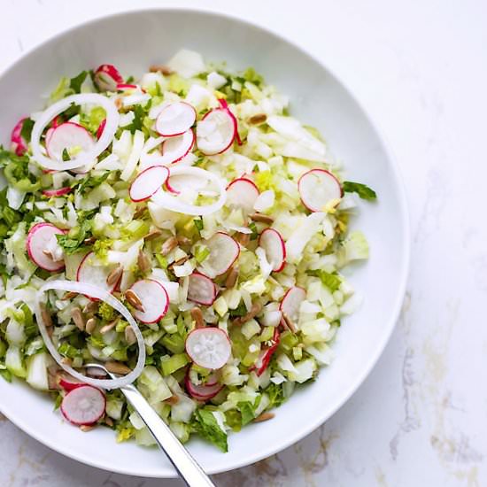 Fennel Celery And Radish Salad