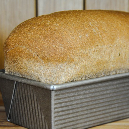 100% Sprouted Whole Wheat Bread