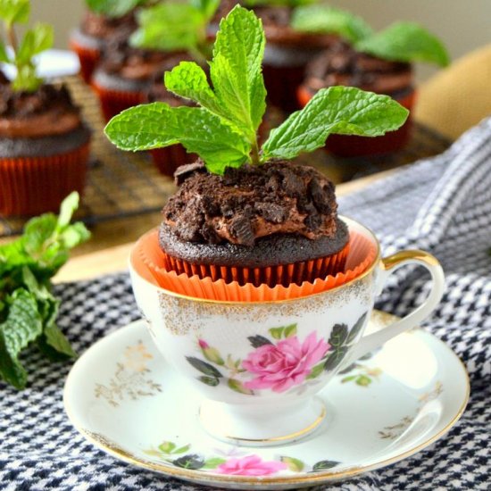 Chocolate Potted Mint Cupcakes