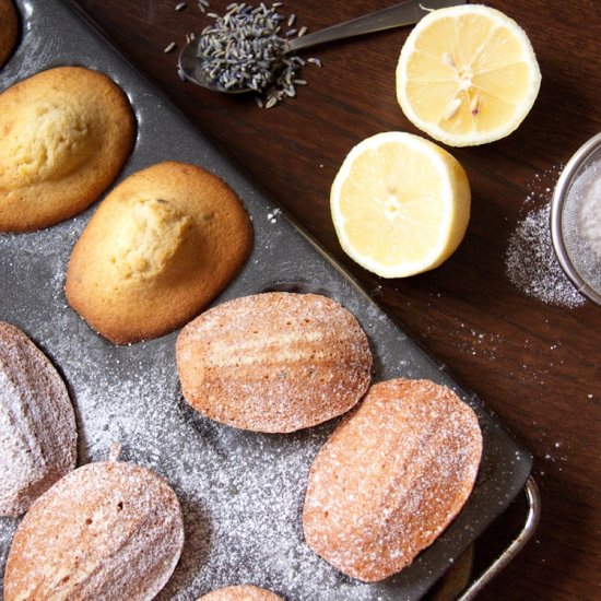 Lemon and lavender madeleines