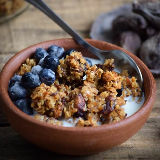 Dried Fig, Millet, Flaxseed Granola