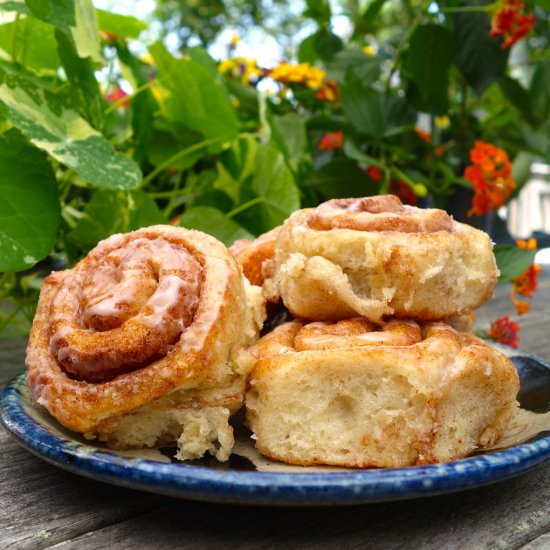 Perfect Vegan Cinnamon Rolls