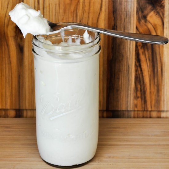 Homemade Greek Yogurt Fat Free