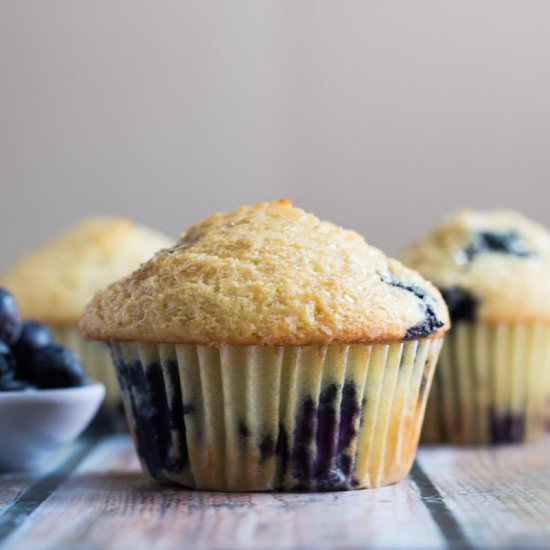 Blueberry Muffins