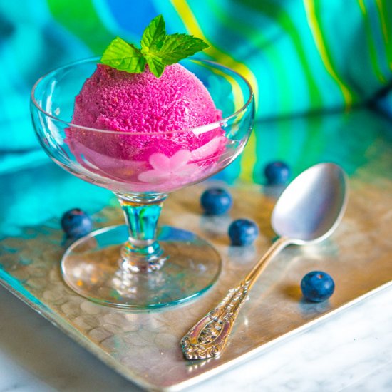 Blueberry Lemon Buttermilk Sorbet