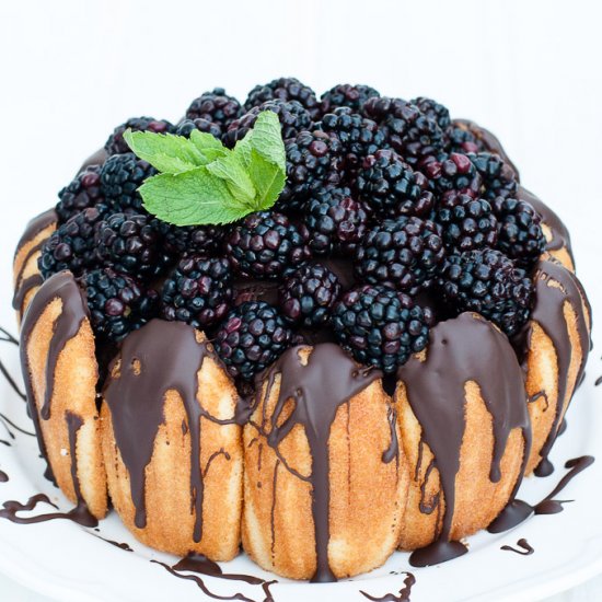 Chocolate Blackberry Charlotte