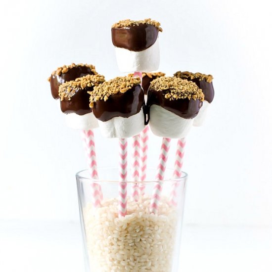 Easy Vegan S’mores Pops