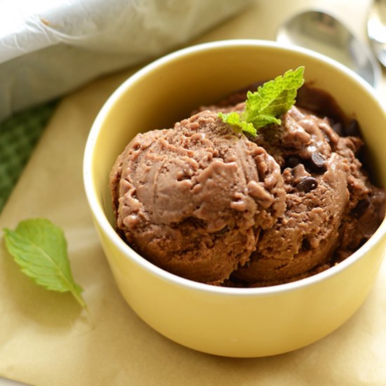 Mint Chocolate Chip Ice Cream