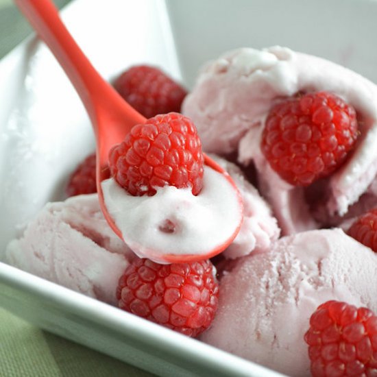 Raspberry Coconut Milk Ice Cream