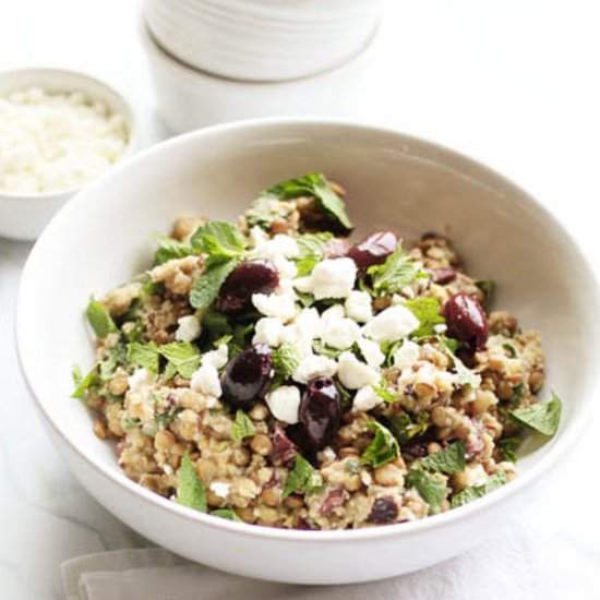 Lentil Goat Cheese and Olive Salad