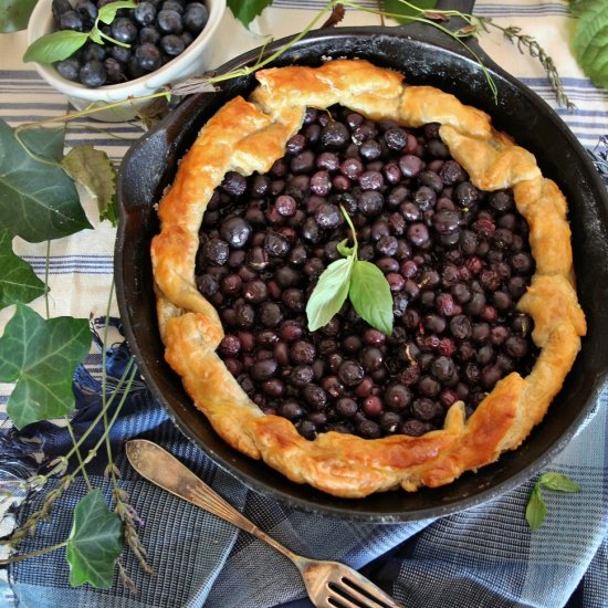 Blueberry Basil Galette