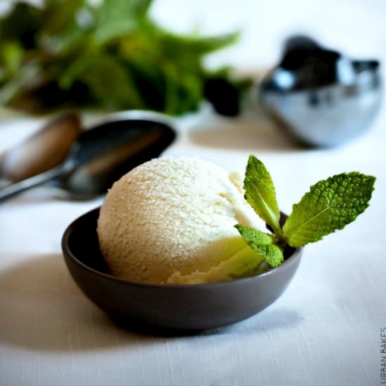 Vanilla Mint Ice Cream