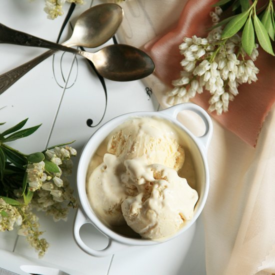 Rhubarb Vanilla Ice Cream