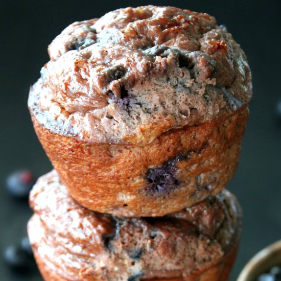 Blueberry Protein Muffins