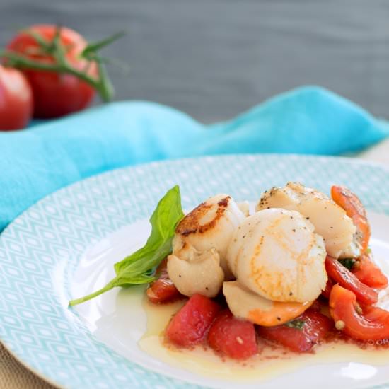 Scallops with Tomato Vierge