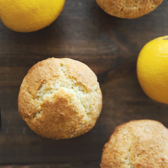 Lemon Chia Seed Muffins