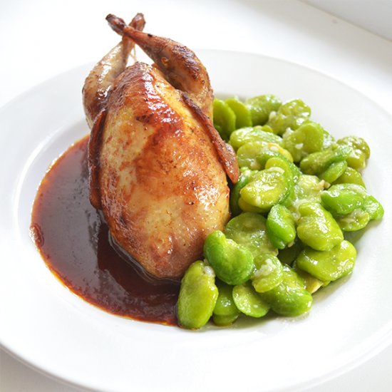 Roast quail with fava beans