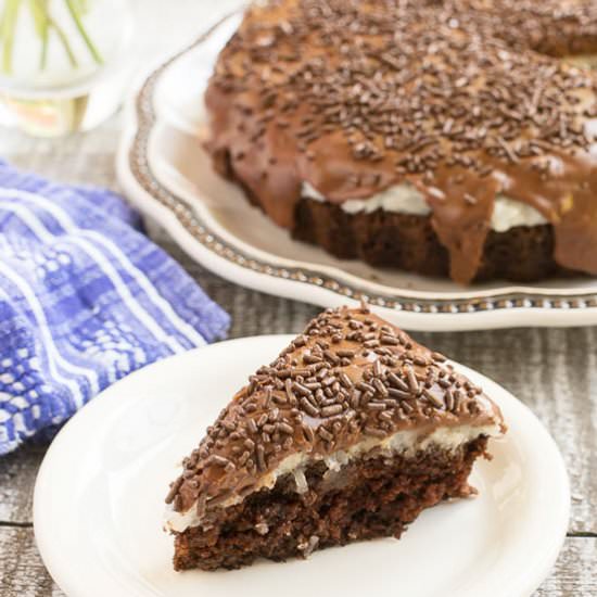 Chocolate coconut marshmallow cake