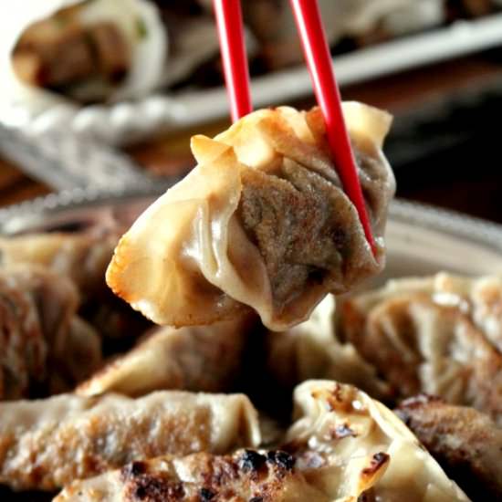 Pot Sticker – Chinese Dumplings