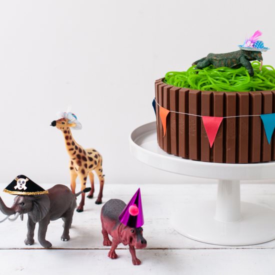 Party Animal Birthday Cake