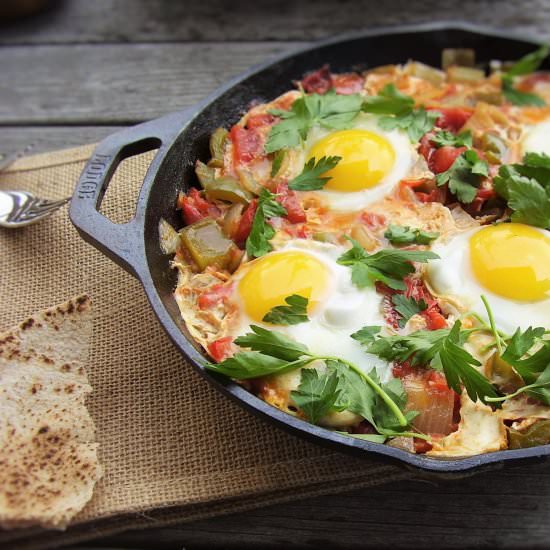 Seasonal Tomato Shakshuka