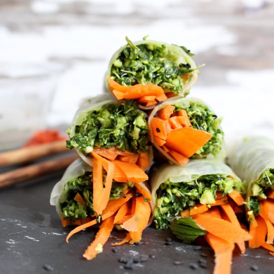 Tabouleh Spring Rolls