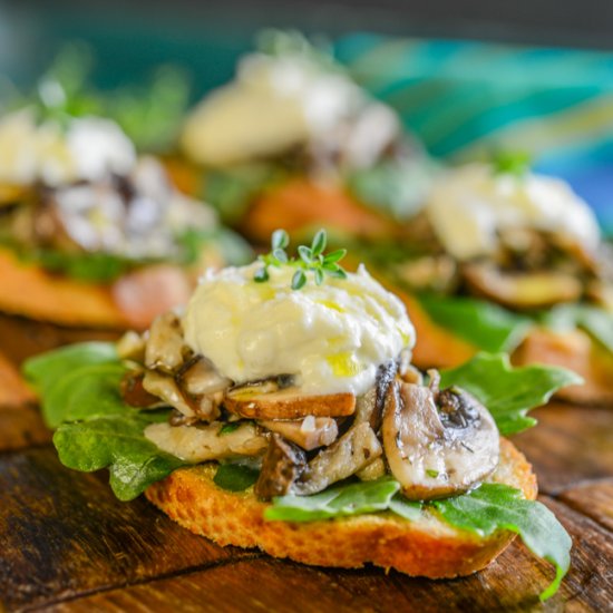 Mushroom and Burrata Crostini