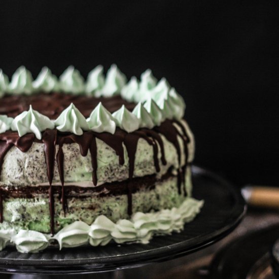 Mint Chip Brownie Ice Cream Cake