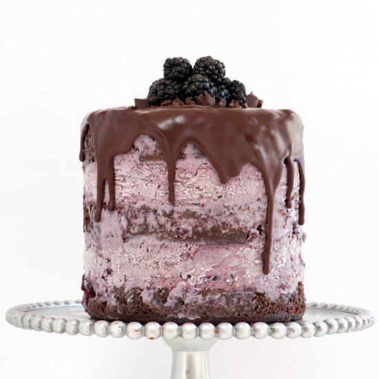 Blackberry Blackout Ice Cream Cake