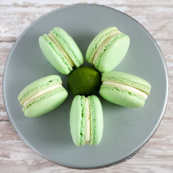 Key Lime Macarons