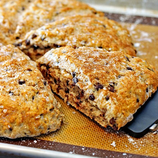 Chocolate Pecan Buttermilk Scones