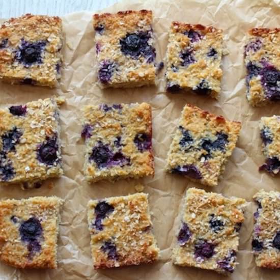 Coconut Blueberry Oat Sqaures