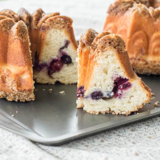 Blueberry Cherry Coffee Cake