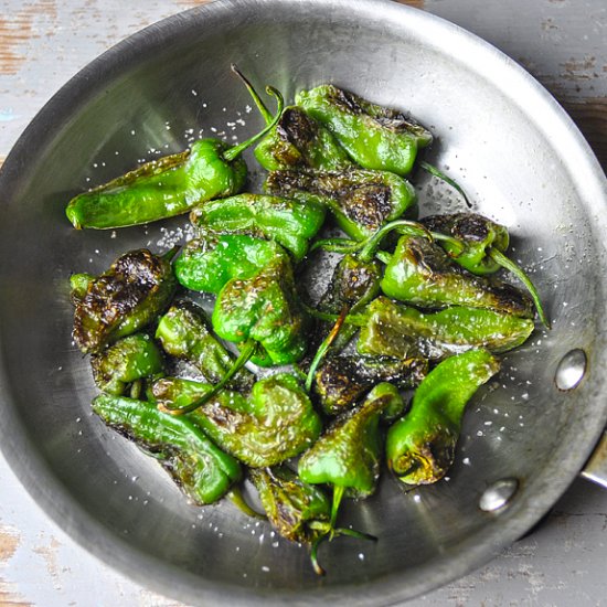 Fried Padrón Peppers