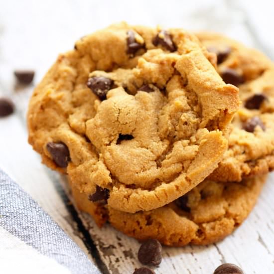 Chocolate Peanut Butter Cookies