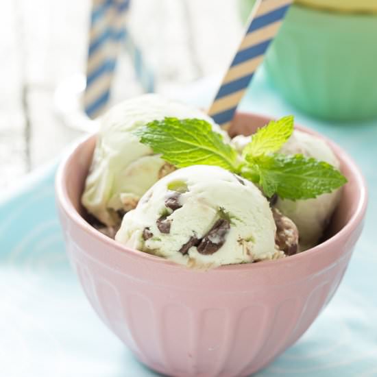 Mint Chocolate Chip Ice Cream