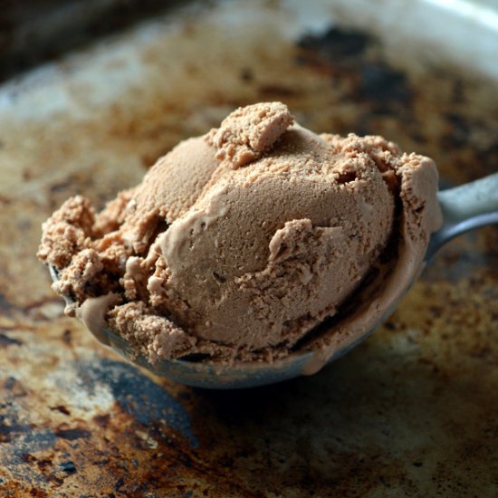 Fermented Chocolate Ice Cream