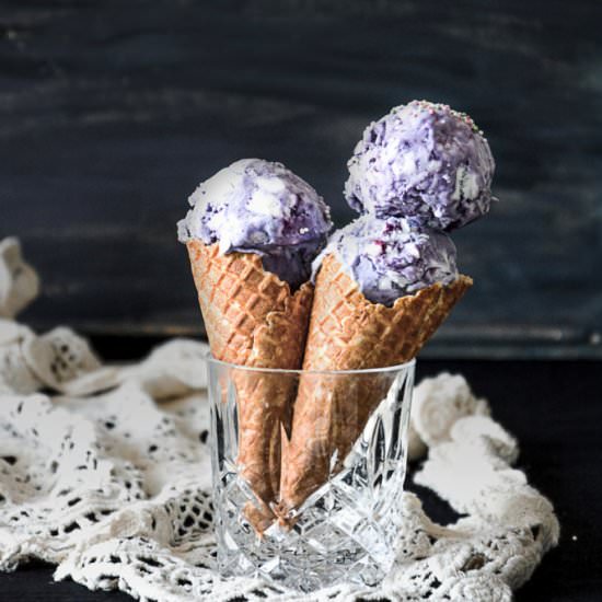 Vegan Coconut Blueberry Ice Cream